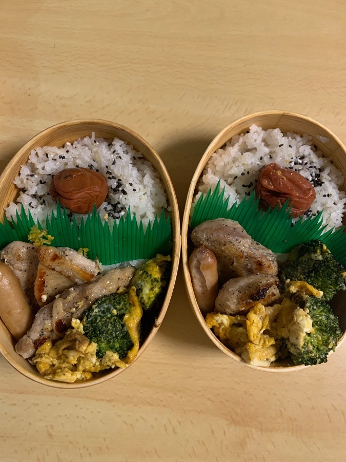 今日のお弁当