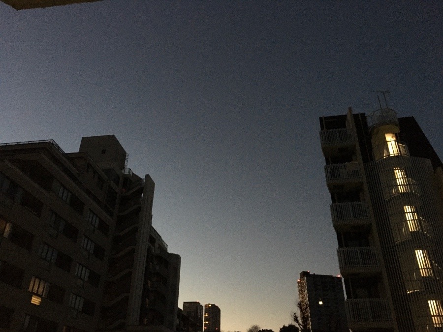 1/2 朝空