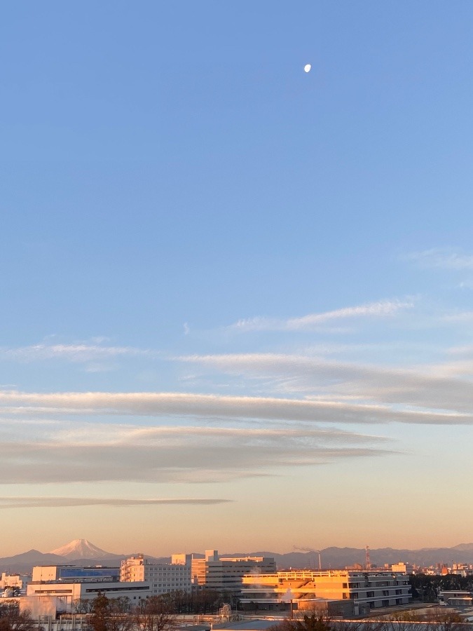 今朝の富士山