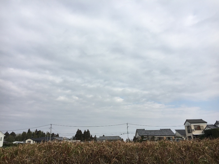 ⭕️空部→ 今日の空（≧∇≦）‼️369.