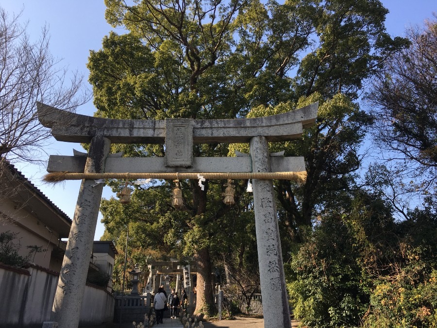 初詣に行ってきました。福岡県の慣習は、三社参り。