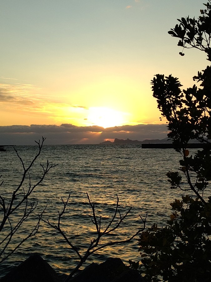 今日の夕焼け🌆