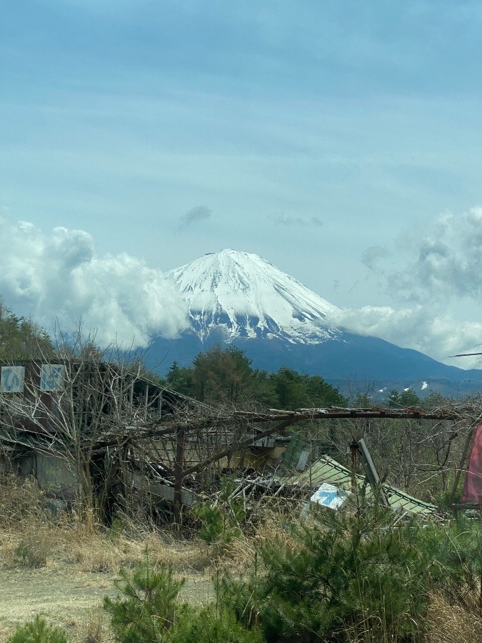 あけましておめでとうございます