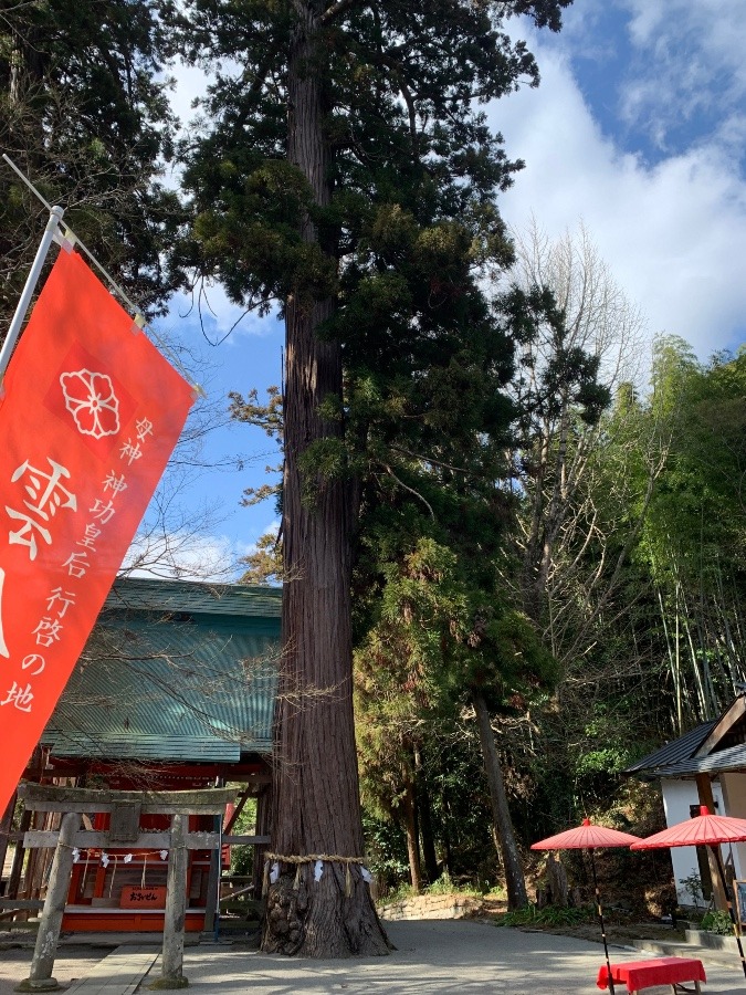 雲八幡宮