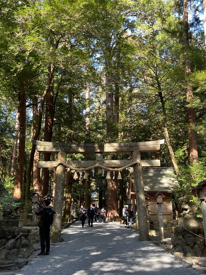 椿大神社②