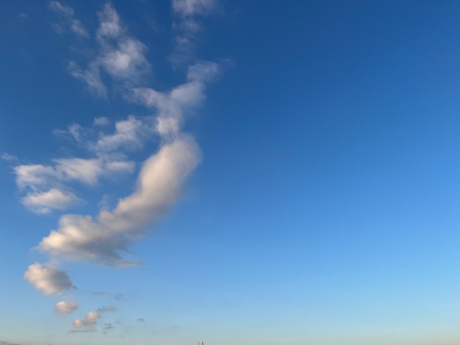 今朝の天気