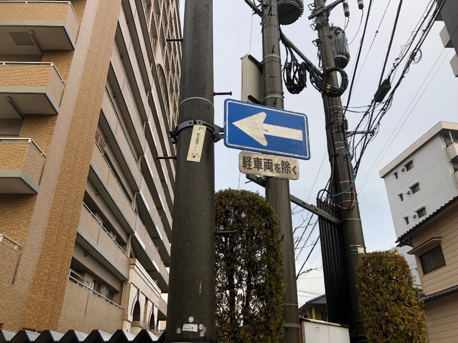 おはようございます❣️
