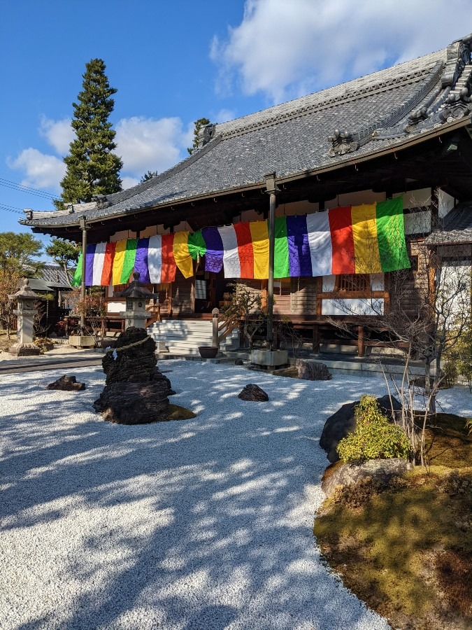 🎍お寺へ初参り🎍