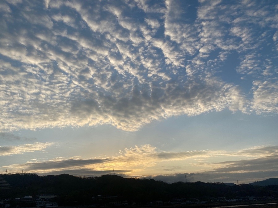 今朝の空②