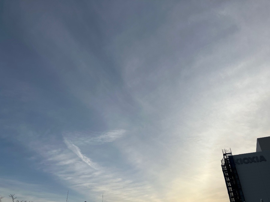 1/6 朝空