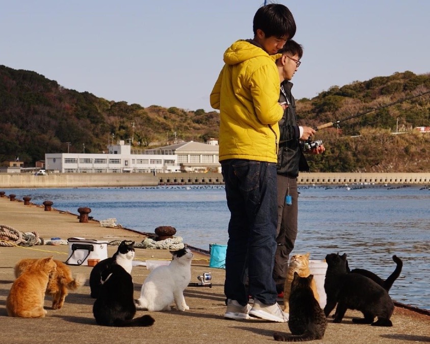 ねえねえ、お兄ちゃん達…。