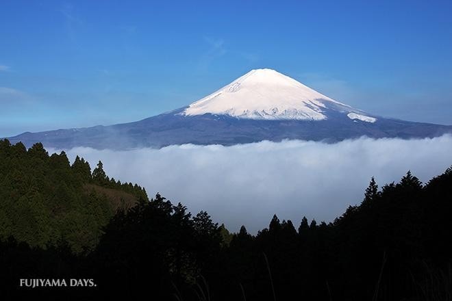 新年、明けましておめでとうございます。令和５年、皇紀２６８３年、西暦２０２３年。