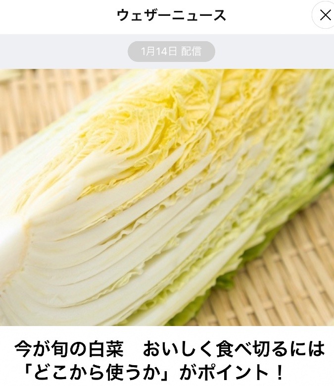 旬の白菜を美味しく食べる♫