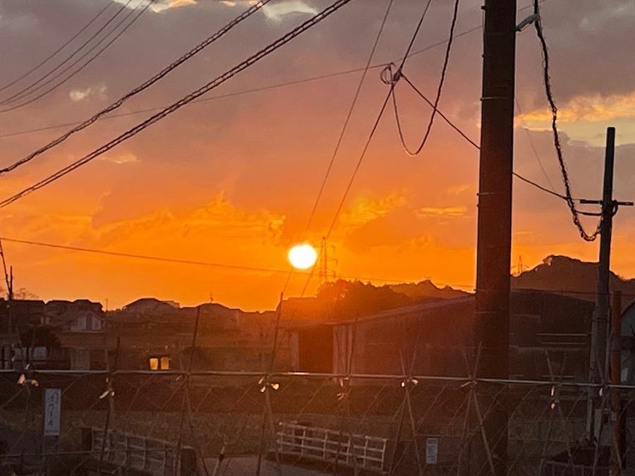 おはようございます🌅