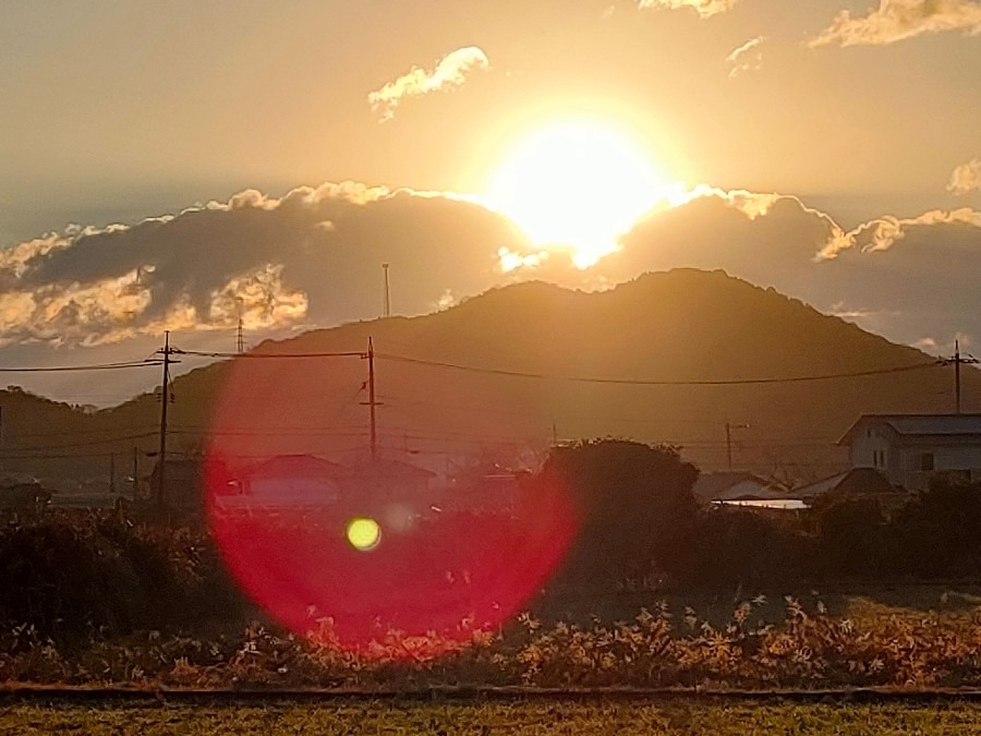 おはようございます♪