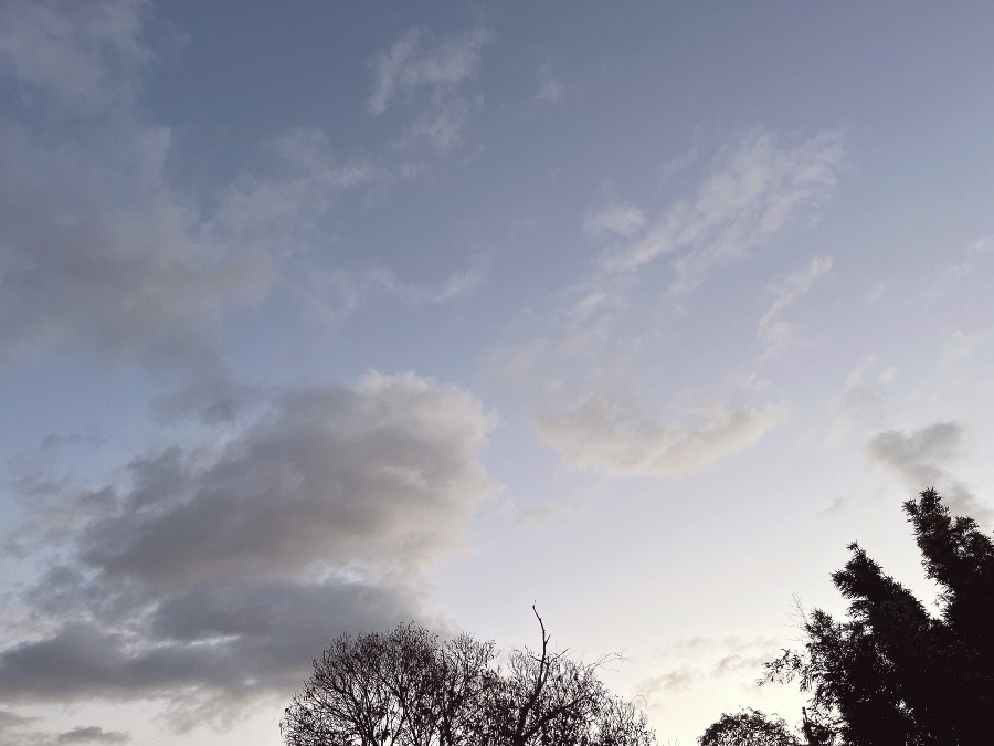 【朝の空】