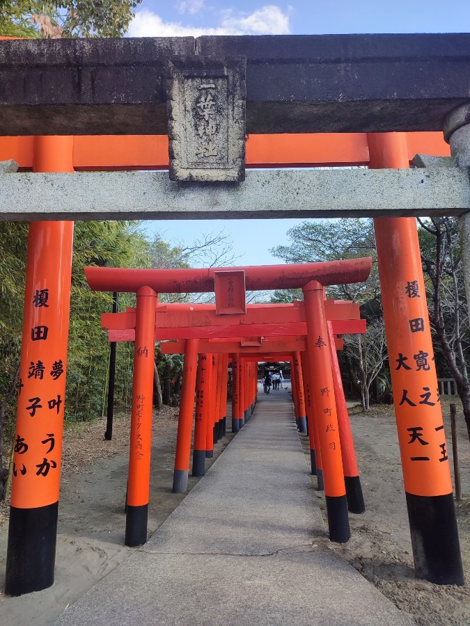 日本一幸運🧧の場所✨