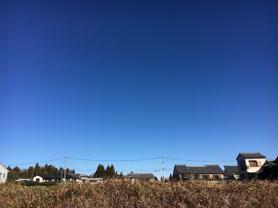 ⭕️空部→ 今日の空（≧∇≦）‼️382.