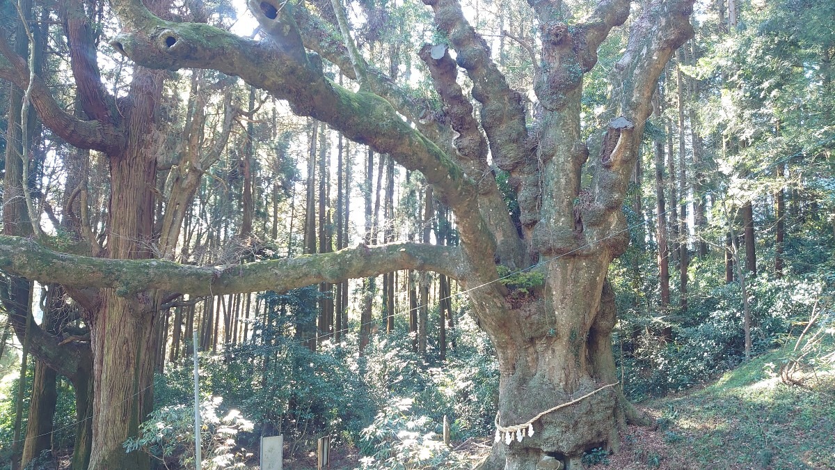 籾山神社
