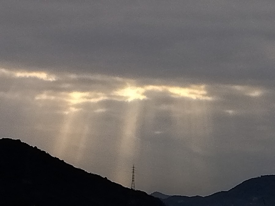 1/26　今日の空