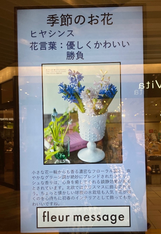 ヒヤシンスの花言葉