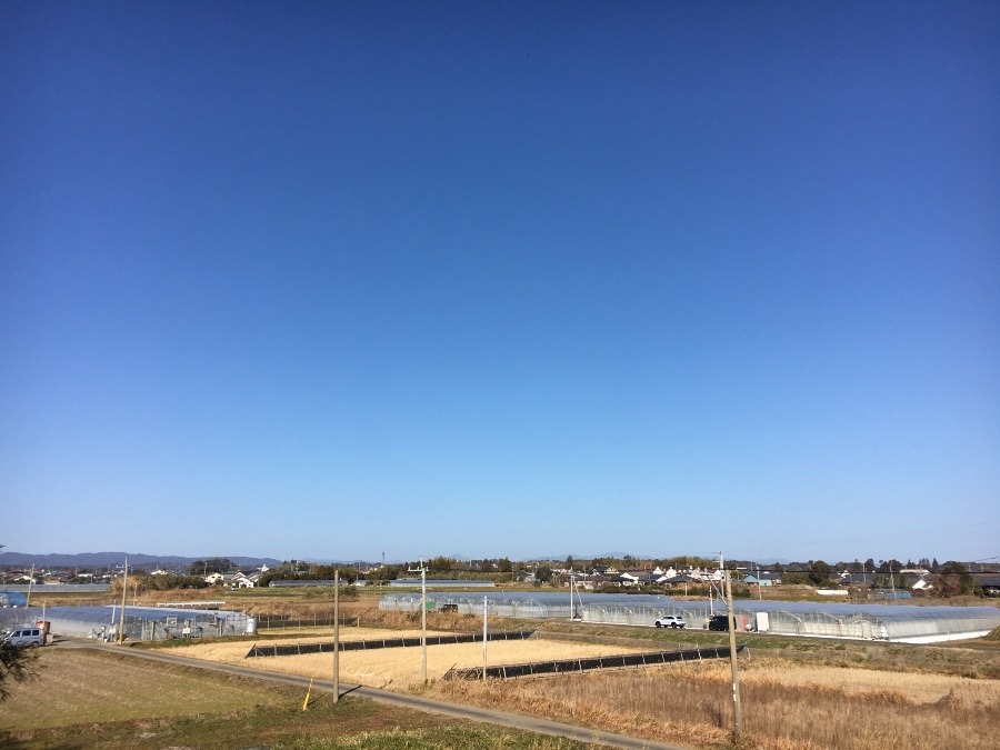 ⭕️空部→ 今日の空（≧∇≦）‼️350.