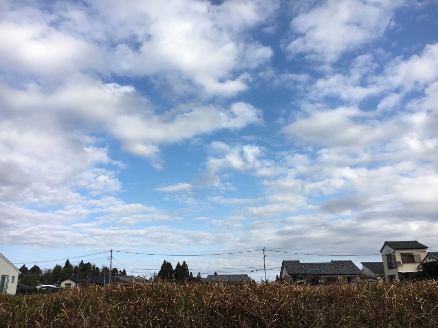 ⭕️空部→ 今日の空（≧∇≦）‼️367.