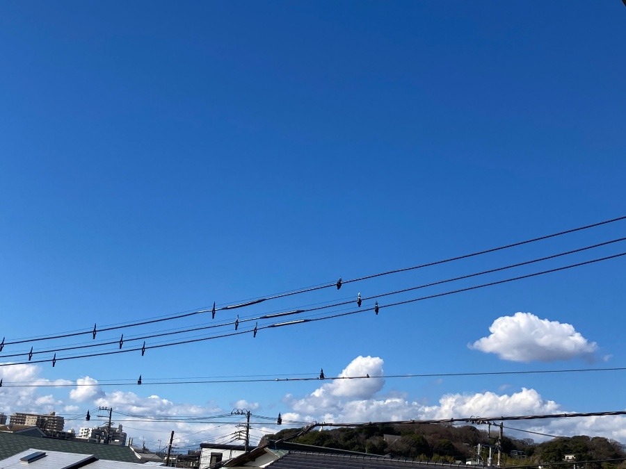 日中の天気