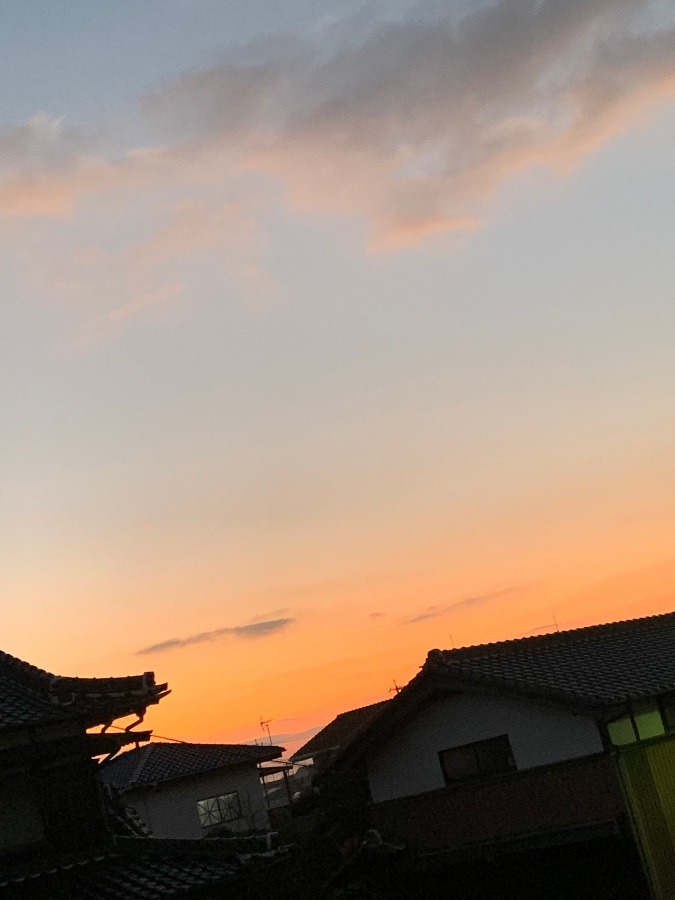 今朝の空