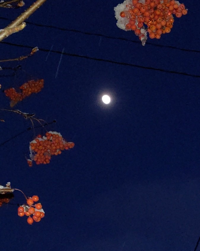 新年2日目 お月様🌔