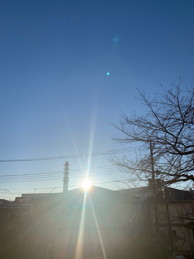 2023/1/28 東京 立川 空と朝陽