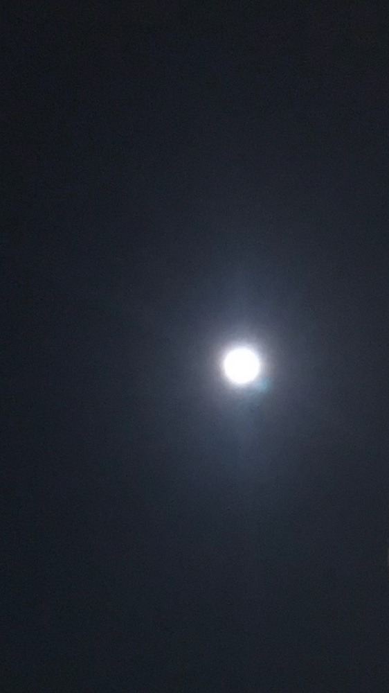 ウルフムーン🌕✨