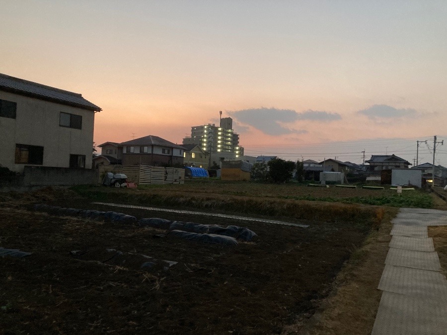 夕方の空