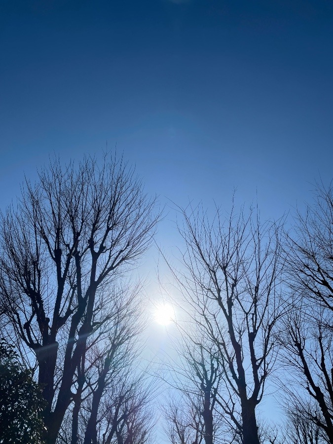 お日様☀️