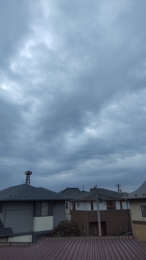 曇り空ですが、暖かな月曜日です。