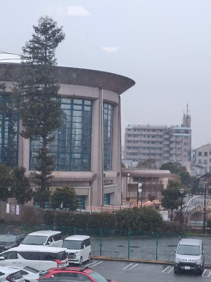 雨から雪に変わった！