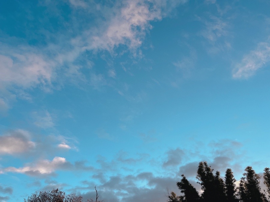 【朝の空】