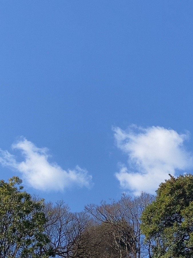 雲がポッカリ☁️