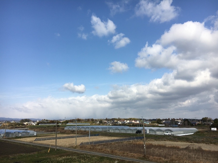 ⭕️空部→ 今日の空（≧∇≦）‼️381.