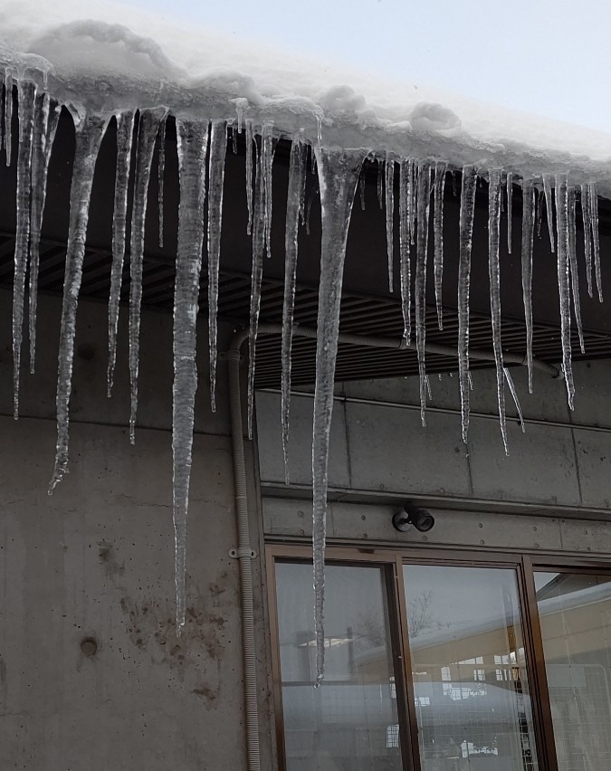 温泉の氷柱❄️❄️❄️