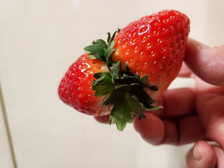 いちご🍓