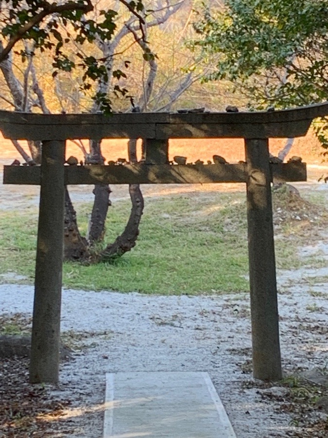 建速神社