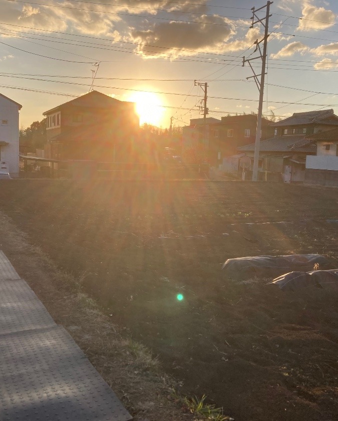 今朝の朝日