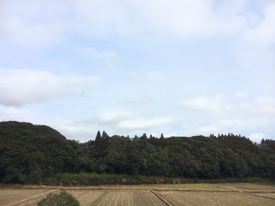 ⭕️空部→ 今日の空（≧∇≦）‼️378.