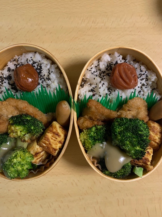 今日のお弁当