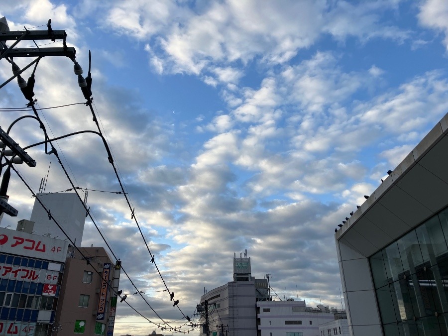 1/17 朝空