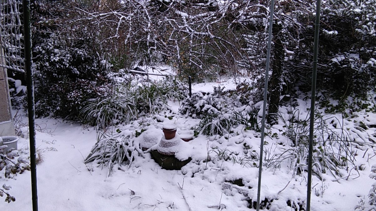 １月２４日。大寒波襲来。３時間余りで雪が積もりました。