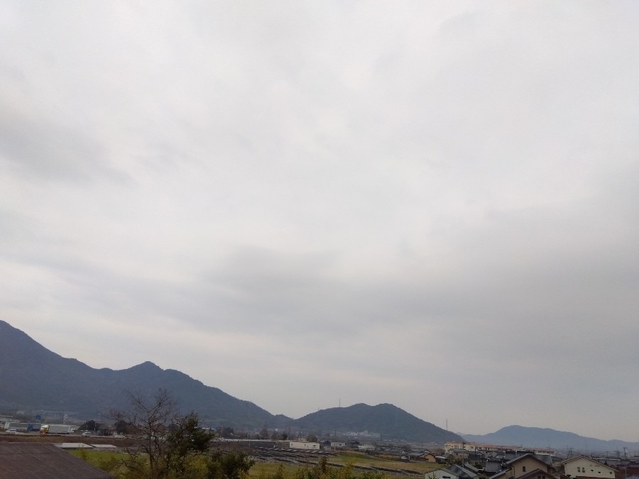 1/19　今朝の空