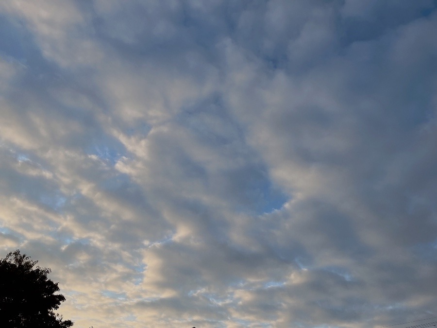 【朝の空】