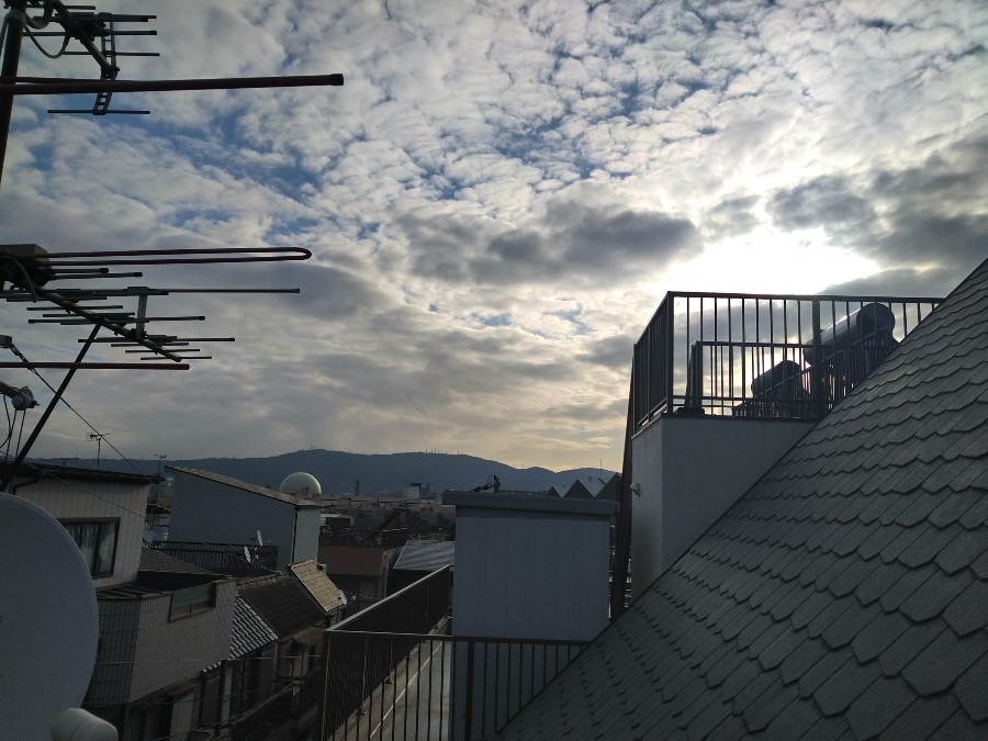 おはようございます❣